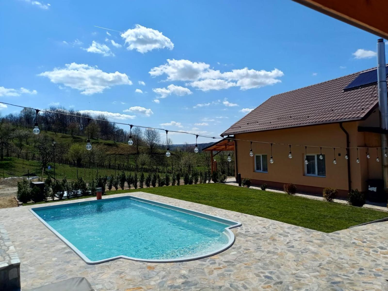 Casa De Vacanta Cu Piscina Incalzita&Jacuzzi Pietrari Kültér fotó